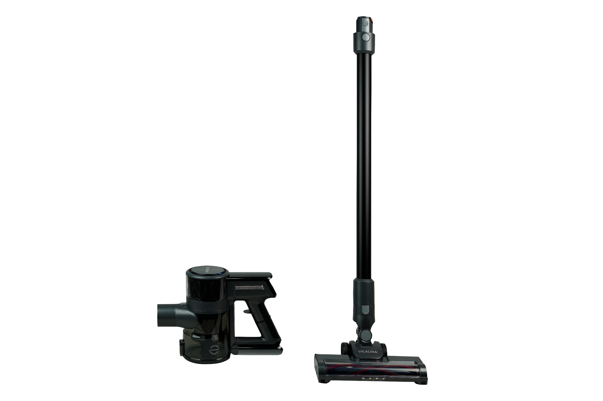 Changyutgich - Vicalina changyutgichi